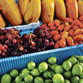 Shopping in Mexico's Markets