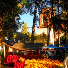 Marigolds (zempoalxochitl, flower of the dead) and purple Mota for sale in the Patzcuaro market for Day of the Dead